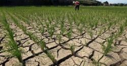 Lebak Hadapi Ancaman Kekeringan, BPBD Lebak: Siaga Musim Kemarau