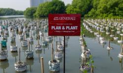 Tanam 15.200 Mangrove, Generali Indonesia Serap 4,5 Juta Kg Emisi Karbon