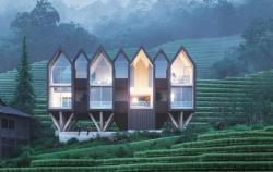 Kolaborasi Chris Precht dan PangkatDua bakal Jadi Ikon Baru Arsitektur Tropis Wellness