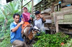 Dari Panggung ke Kandang: Perjalanan Kang Uceng Bersama Kurban Dompet Dhuafa