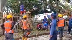Damkar Evakuasi Pohon Tumbang Timpa Kabel Listrik Tegangan Tinggi di Palangkaraya