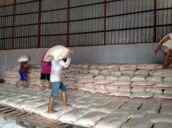 Bulog Indramayu Serap 75 Persen Lebih Gabah dan Beras, Optimistis Capai Target Meski Gudang Penuh