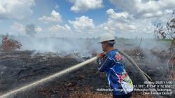 Tim Dalkarhutla Dishut Kalteng Padamkan Kebakaran Lahan Lebih dari Satu Hektare di Kalampangan