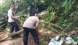 Polri bersama Warga Evakuasi Pohon Tumbang di Lebakbarang