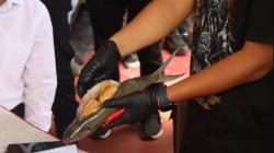 Polres Tarakan Gagalkan Penyelundupan Sabu ke Parepare, Dikemas di Dalam Perut Ikan Bandeng