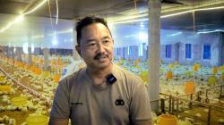 Ingin Pensiun Bahagia, AKP Totok Purwantoro Anggota Polres Pemalang Rintis Usaha Peternakan Ayam