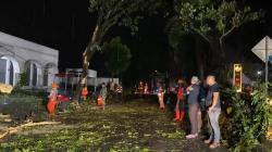 Tersenggol Truk Kontainer, Pohon Besar di Indihiang Roboh, Diky Chandra Turun Tangan Bantu Evakuasi
