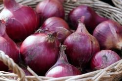 Harga Bawang Merah di Tulungagung Rp38 Ribu, Trenggalek dan Kota Blitar Lebih Murah