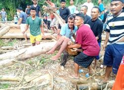 Tebang Pohon, Warga Solok Selatan Nyaris Tewas Terjepit