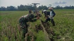 Sambut Musim Tanam, Warga Tambakreja Ciamis dan Babinsa Bangun Saluran Irigasi Demi Ketahanan Pangan