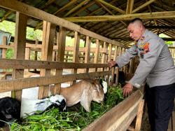 Nyambi Ternak Kambing, Ipda Edi Santoso Jadi Motivasi Bagi Warganya