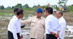 Pernah Jadi Pengimpor Terbesar Kelima Dunia, Pakar Pangan Sebut Indonesia Berpeluang Surplus Beras