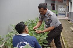 Kebun Rutan, Ladang Pembinaan di Rutan Banjarnegara