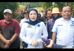 Wakil Ketua III DPRD Lamsel, Bella Jayanti Janjikan Pembangunan Jembatan Di Desa Tajimalela