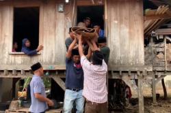 Keluarga di Baubau Keracunan Ikan Laut, Satu Anak Meninggal Dunia