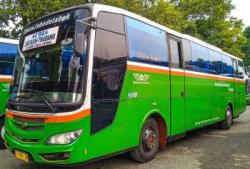 Mayasari Bakti, Ikon Transportasi Jabodetabek yang Tetap Eksis Sejak 1964