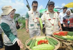 35 Tahun Jadi Sahabat Petani, Ewindo Luncurkan 27 Varietas Sayuran Unggul Dukung Swasembada Pangan