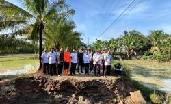 Plt Bupati Way Kanan bersama Anggota DPRD Tinjau Gorong-gorong yang Ambruk di Tanjung Dalam