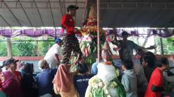 Tradisi Kirab Gunungan di Desa Saban: Warga Berebut Hasil Bumi Sebagai Ungkapan Syukur