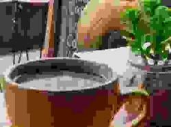 Nongkrong Hemat di Ubud: Ini 5 Spot Kece di Bawah 150 Ribu