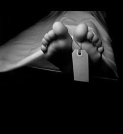 Tragis! Dua Bocah di Pesisir Barat Ditemukan Tewas Mengenaskan