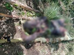 Baku Tembak di Intan Jaya, TPNPB OPM Akui Kehilangan Pasukan Elit dalam Serangan Dini Hari