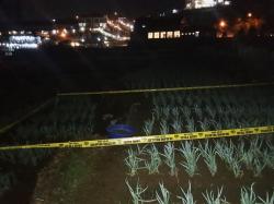 Petani Temukan Mortir Aktif di Kebun Stroberi Ciwidey, Tim Jibom Turun Tangan