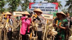 Polres Boyolali Gelar Panen Raya Jagung Tahap II, Komitmen Dukung Ketahanan Pangan Nasional