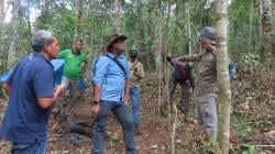 Telusuri Kearifan Lokal Hutan Kemenyan Taput, Pokja GRK Sumut Bidik Pengurangan Emisi
