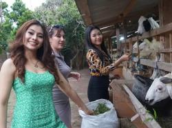 SPG Cantik Terlibat Penjualan Hewan Kurban