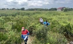 Sinergi PLN UIP KLT dan BPN Kutai Timur Percepat Proyek Strategis SUTT 150 kV Sangatta–Muara Wahau