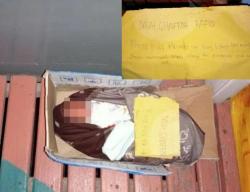 Bayi Ditinggal di Teras Rumah Warga Majene, Ada Surat Maaf