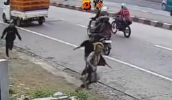 Viral! Pengeroyokan di Cicalengka Tewaskan Satu Orang, Pelaku Langsung Dibekuk Polisi
