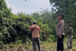 Antisipasi Gangguan Keamanan Hutan dan Kahutla, Perhutani KPH Gundih Gelar Patroli di Lokasi Ini