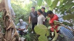 Baru Bebas 2 Minggu, Seorang Residivis Embat Hp Pasien di Rumah Sakit