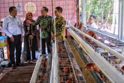 Charoen Pokphand Peduli, Hibahkan Kandang Ayam Petelur ke Peternak Disabilitas dan FKH UGM