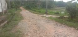 Belum Tersentuh Perbaikan, Jalan di Pekon Panggung Rejo Berlumpur Saat Hujan