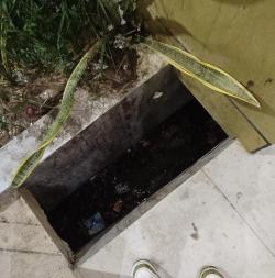 Warga Soroti Masalah Kebersihan di RS Pratama Reo, Manggarai