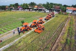 Kementan Gencarkan Percepatan Tanam di Berbagai Daerah, Wujudkan Swasembada Pangan Nasional
