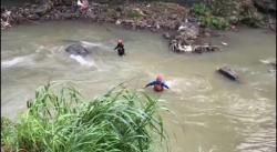 Dua Hari Hilang Terbawa Arus, Balita Asal Ciomas Bogor Ditemukan Tak Bernyawa di Tepi Kali Cisadane