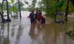 Banjir Terjang Tiga Kecamatan di Bojonegoro, Permukiman Terendam hingga Ternak Mati