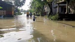 Ratusan Rumah di Grobogan Terendam Banjir Akibat Tanggul Sungai Kliteh Jebol