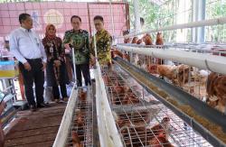 Charoen Pokphand Indonesia Berdayakan Disabilitas lewat Kandang Merah Putih