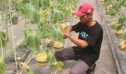 Petani Muda di Blora Masuk Grand Final Young Ambassador Agriculture