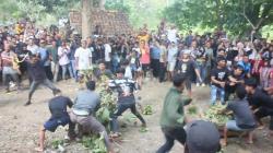 Dikira Tawuran Antar Warga, Ternyata Tradis Sawuran Nasi