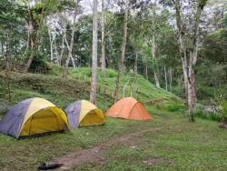 10 Tempat Camping Terbaik di Lombok:Dari Lereng Rinjani hingga Sungai Tersembunyi yang Instagramable