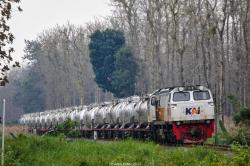 KAI Daop 5 Purwokerto Angkut 406 Ribu Ton Barang hingga April 2025