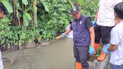 Tasikmalaya Geger, Mayat Pria Misterius Terbawa Arus Sungai Cimulu