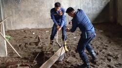 Panik Temukan Biawak Besar di Belakang Rumah, Warga Pamarican Ciamis Minta Bantuan Damkar