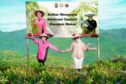 Kompak Panen Cabe, Ketua PD Bhayangkari Sulbar dan Bupati Mamuju Hasilkan 5 Ton